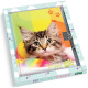 DIARIO SEGRETO 13X18 CON LUCCHETTO 80 PAGINE CUCCIOLI NIJI