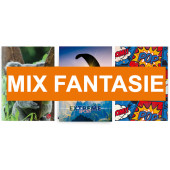 MAXIQUADERNO GR.80 COPERTINA PESANTE FANTASIE ASSORTITE