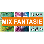 MAXIQUADERNO GR.80 FANTASIE ASSORTITE