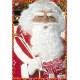SET TRAVESTIMENTO BABBO NATALE WIDMANN