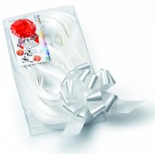 NASTRO STRIP MM.31 TIPO E BRIZZOLARI