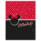 BORRACCIA TERMICA 500 ML. 500 ML MINNIE