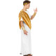 COSTUME GIULIO CESARE CON TOGA, POLSINI, CORONA D'ALLORO WIDMANN