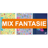 MAXIQUADERNO GR.100 ALTA FOLIAZIONE FANTASIE ASSORTITE