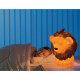 LAMPADA NOTTE LEONE CM.30/31 SWEET DREAMS LEBEZ