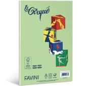 CARTA MULTIUSO A4 MIX 5 COLORI TENUI GR.80 LE CIRQUE RISMETTA 100 FOGLI FAVINI