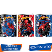 DIARIO SCOLASTICO STANDARD 14,5X20,6 10 MESI SPIDER-MAN