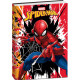 DIARIO SCOLASTICO STANDARD 14,5X20,6 10 MESI SPIDER-MAN