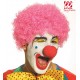 PARRUCCA CLOWN RICCIA WIDMANN
