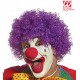 PARRUCCA CLOWN RICCIA WIDMANN