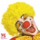PARRUCCA CLOWN RICCIA WIDMANN