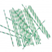 CANNUCCIA IN CARTA RIGATA cm.20 conf.24 pz. GI.VI