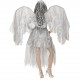 COSTUME ANGELO OSCURO CON ALI WIDMANN