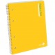 MAXIQUADERNO SPIRALE 80 GR. 140 FF. C/F COLOR BM