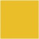 TOVAGLIOLI IN CARTA COLORATA 38X38 2 VELI - 30 PZ. PAINTER CARTERIA