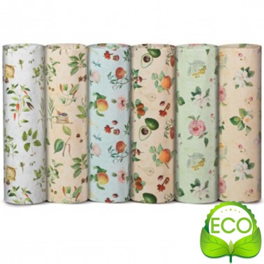 CARTA REGALO PIEGATA 70X100 ECOCARTA BOTANICA REX-SADOCH