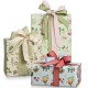 CARTA REGALO PIEGATA 70X100 ECOCARTA BOTANICA REX-SADOCH