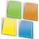 CARTELLA 3 LEMBI CON ELASTICO 26X34,5 MONOCROMO FLUO PIGNA
