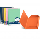 CARTELLA 3 LEMBI BRISTOL COLORI ASSORTITI FAVINI