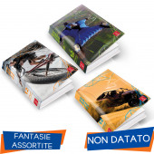 DIARIO SCOLASTICO STANDARD 13,2X18,3 12 MESI EXTREME PIGNA