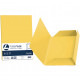 CARTELLA BRISTOL 3 LEMBI CONF.25 FAVINI