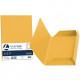 CARTELLA BRISTOL 3 LEMBI CONF.25 FAVINI