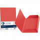 CARTELLA BRISTOL 3 LEMBI CONF.25 FAVINI