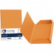 CARTELLA BRISTOL 3 LEMBI CONF.25 FAVINI