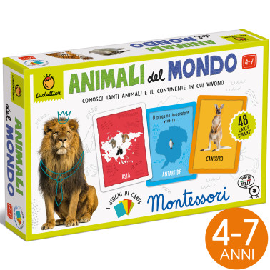 GIOCO DI CARTE MONTESSORI LUDATTICA