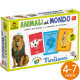 GIOCO DI CARTE MONTESSORI LUDATTICA