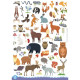 GIOCO EDUCATIVO ARTS & CRAFT GLI ANIMALI SASSI