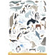 GIOCO EDUCATIVO ARTS & CRAFT GLI ANIMALI SASSI