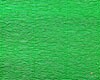 563 Verde