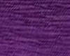 593 Viola