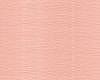 548 Rosa Camelia