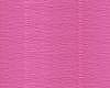 570 Fuxia Carico
