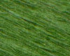 591 Verde Foglia